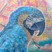 tattoo galleries/ - Realistic Color Parrot half sleeve